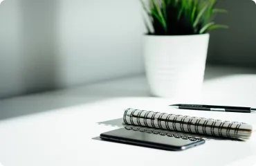 鲸鱼体育直播